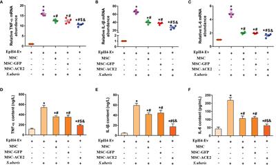 MSC-ACE2 Ameliorates Streptococcus uberis-Induced Inflammatory Injury in Mammary Epithelial Cells by Upregulating the IL-10/STAT3/SOCS3 Pathway